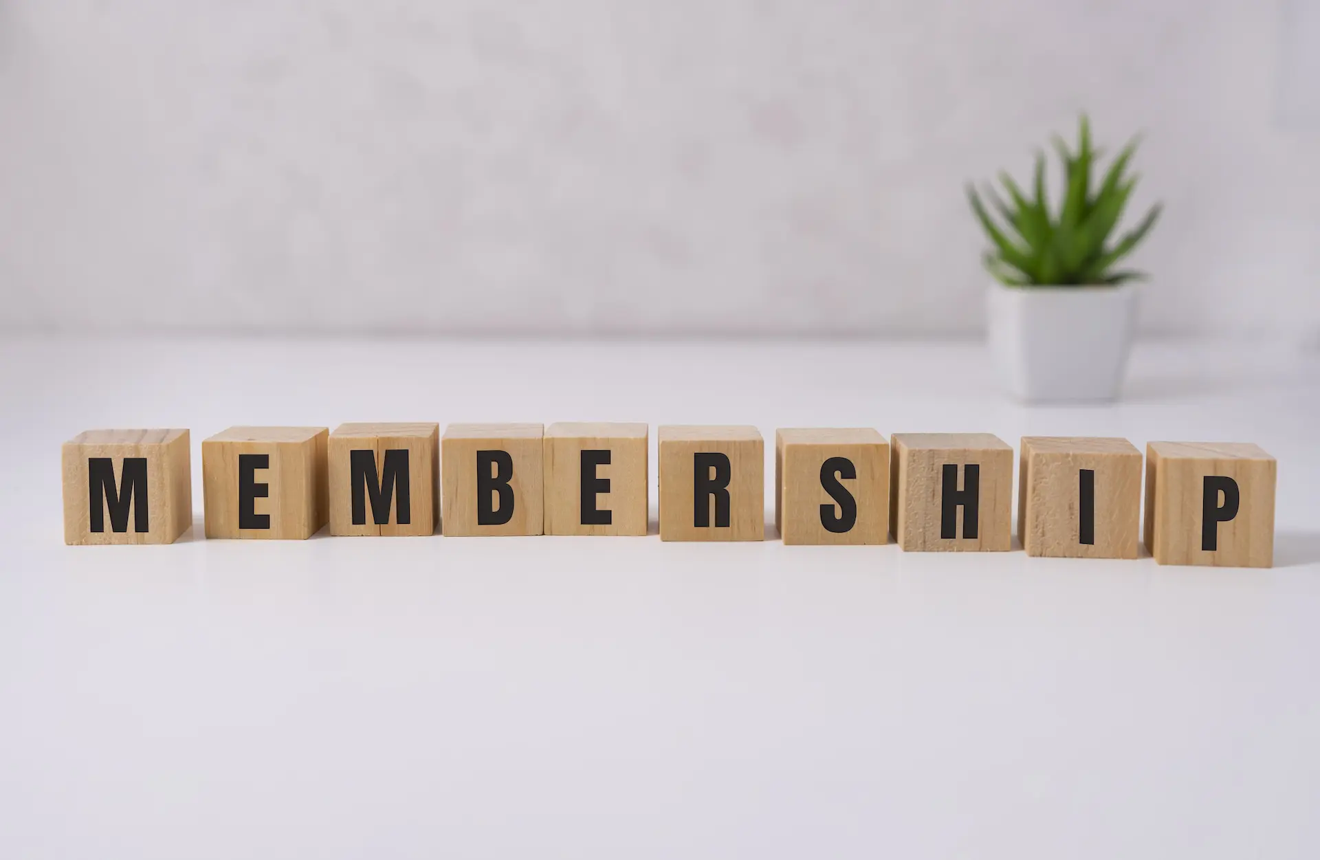 Membership word on wooden cubes on white background.